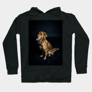 Golden Retriever Hoodie